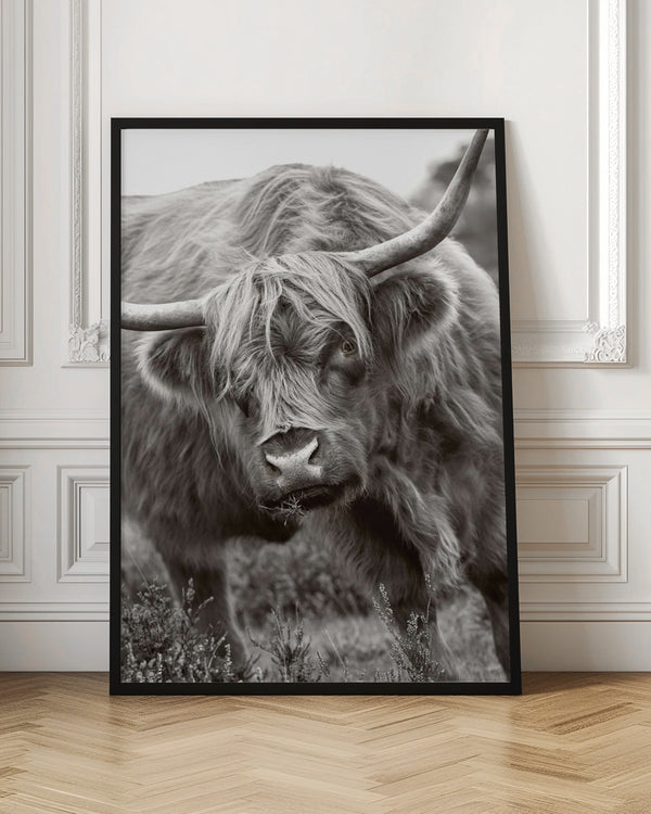 Tablou înramat „The Bull” de Jacky Parker