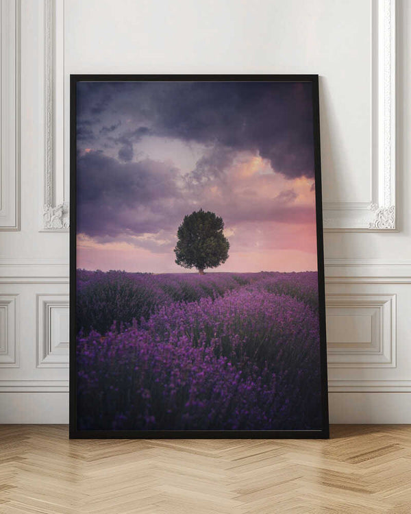 Tablou înramat „Lavender Fields, Isparta” de Cuma Cevik