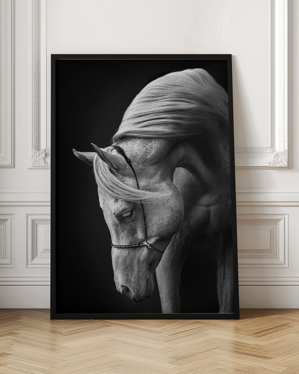 Tablou înramat „white stallion” de Ulrike Leinemann