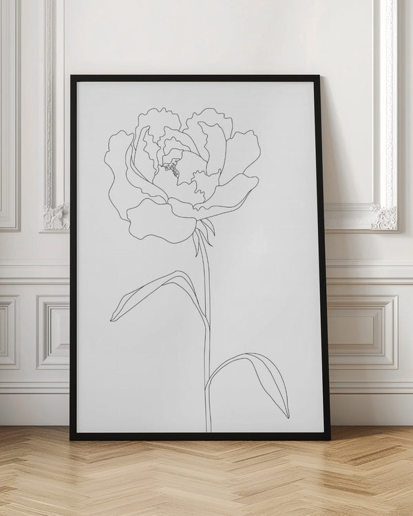 Tablou înramat „Peony Lines” de Pictufy Studio II