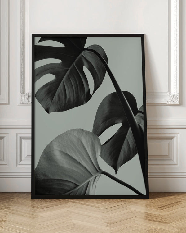 Tablou înramat „Monstera Teal 07” de Pictufy Studio III