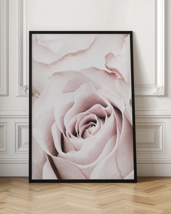 Tablou înramat „Pink Rose No 05” de Pictufy Studio III