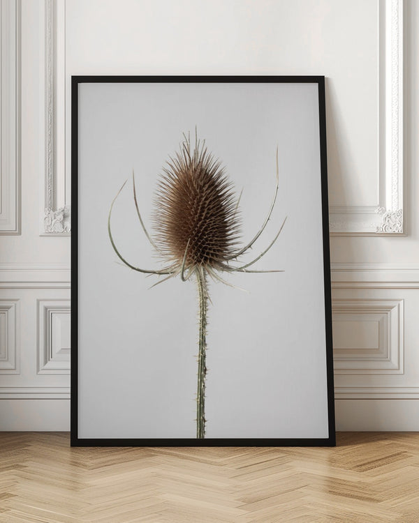 Tablou înramat „Dried_004” de Pictufy Studio III