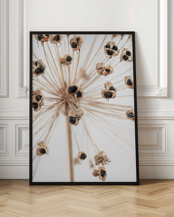 Tablou înramat „Dried_007” de Pictufy Studio III