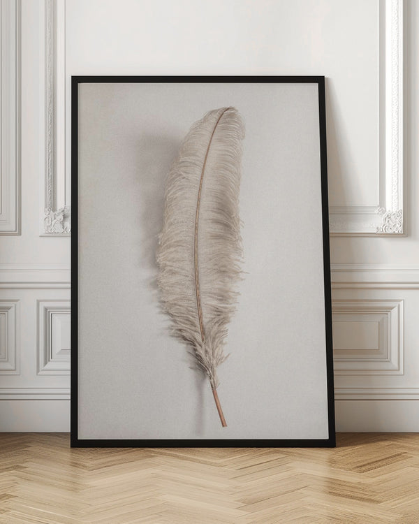 Tablou înramat „Feather_002” de Pictufy Studio III