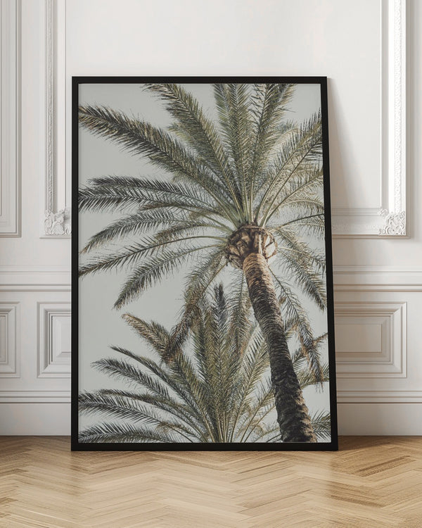 Tablou înramat „Palm_005” de Pictufy Studio III