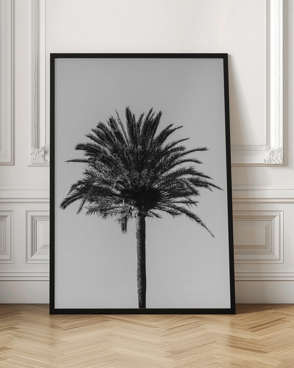 Tablou înramat „Palm_003” de Pictufy Studio III