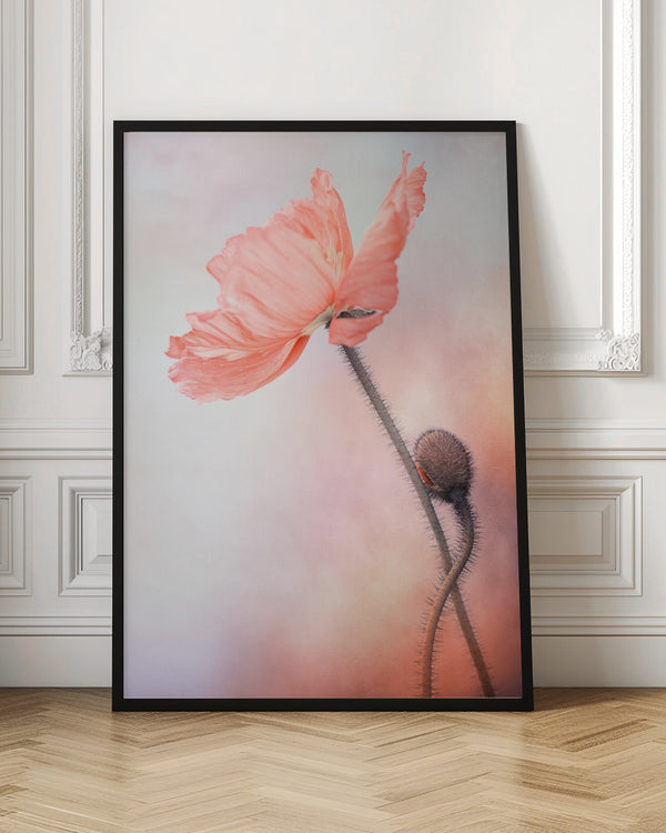 Tablou înramat „Tenderness” de Lenka