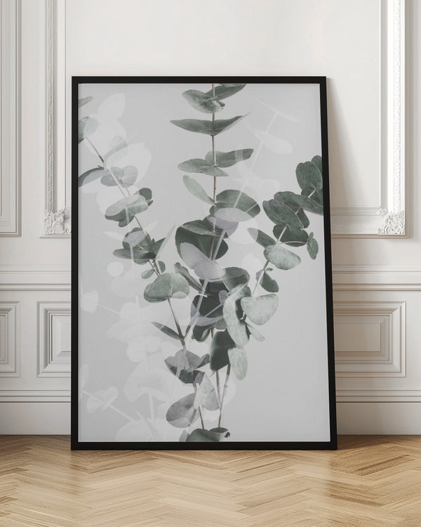 Tablou înramat „Eucalyptus_002” de Pictufy Studio III