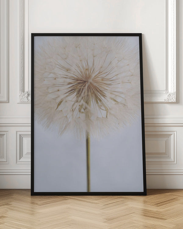 Tablou înramat „Delicate Dandelion” de uplusmestudio