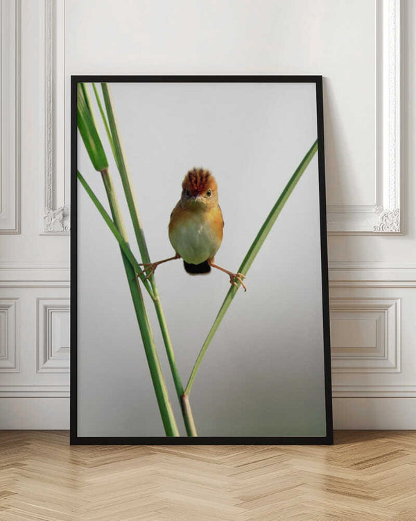 Tablou înramat „Kung Fu Master” de Lina Gunawan