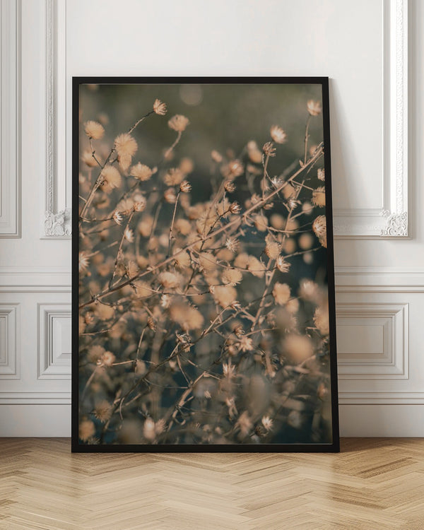 Tablou înramat „Beach flowers_003” de Pictufy Studio III