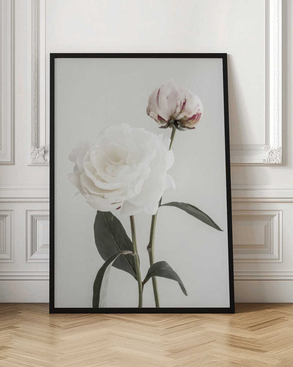 Tablou înramat „Peony 12” de Pictufy Studio III