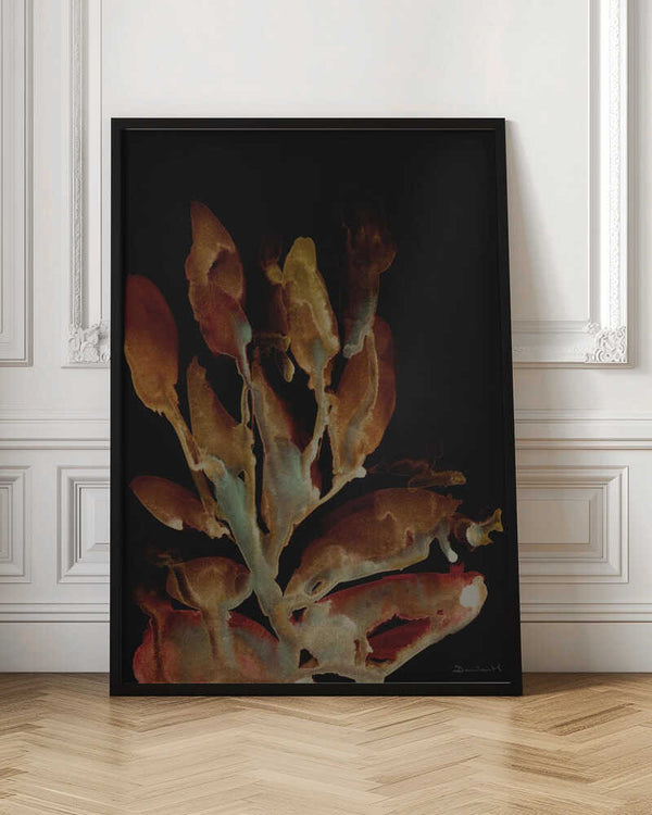 Tablou înramat „Night Plant” de Dan Hobday