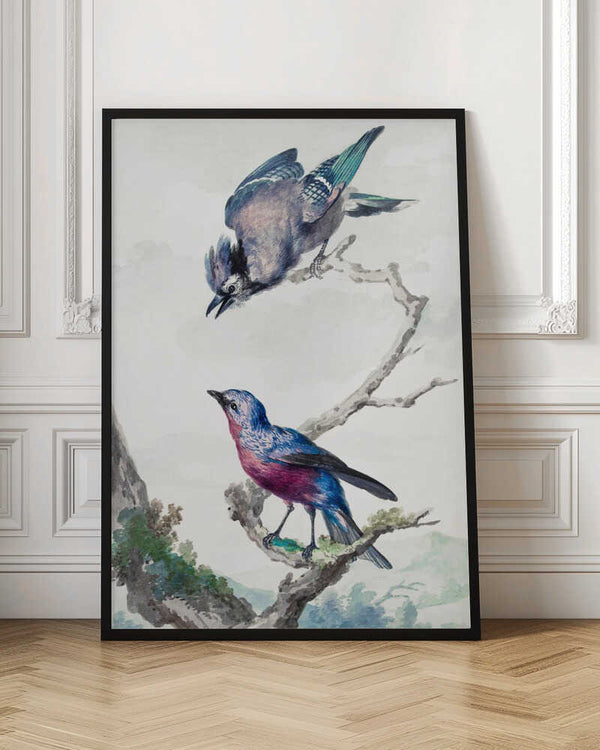 Tablou înramat „Two Birds a Blue Jay and a Purple Breasted Cotinga” de Aert Schouman