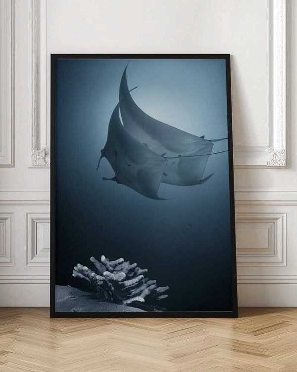 Tablou înramat „Sonata” de Andrey Narchuk