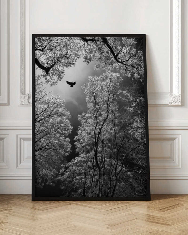 Tablou înramat „Flight” de Goran Stamenkovic