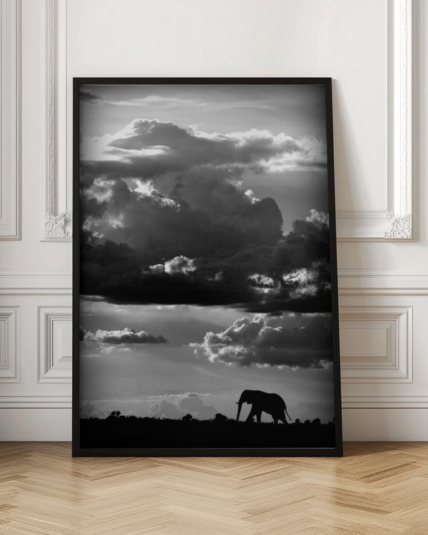 Tablou înramat „He walks under an African Sky” de WildPhotoArt