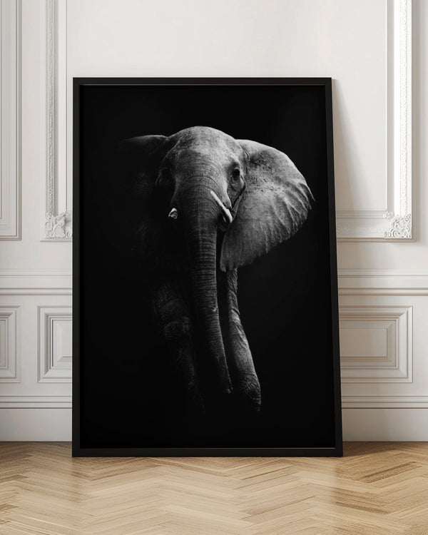 Tablou înramat „Elephant!” de WildPhotoArt