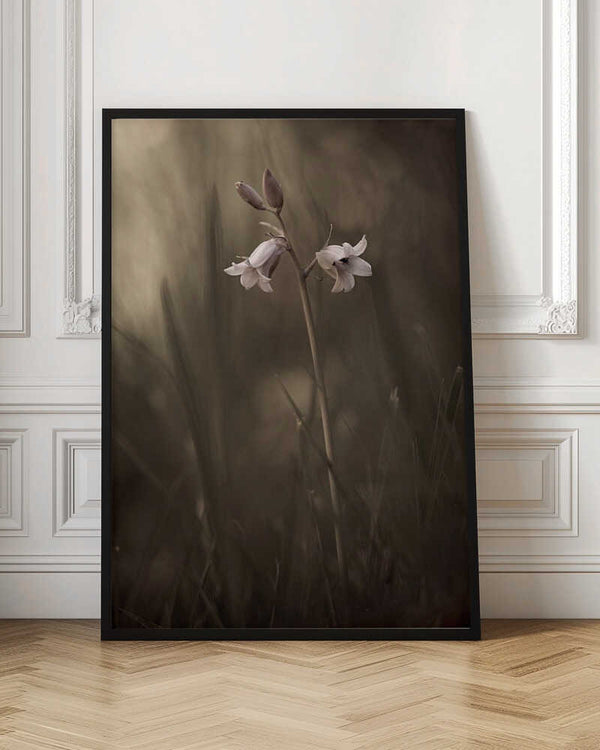 Tablou înramat „A small flower on the ground” de Allan Wallberg