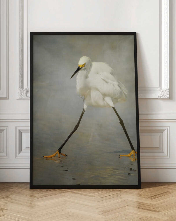 Tablou înramat „The Rock Star” de Alfred Forns