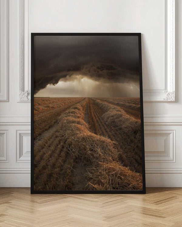 Tablou înramat „Untitled” de Nicolas Schumacher