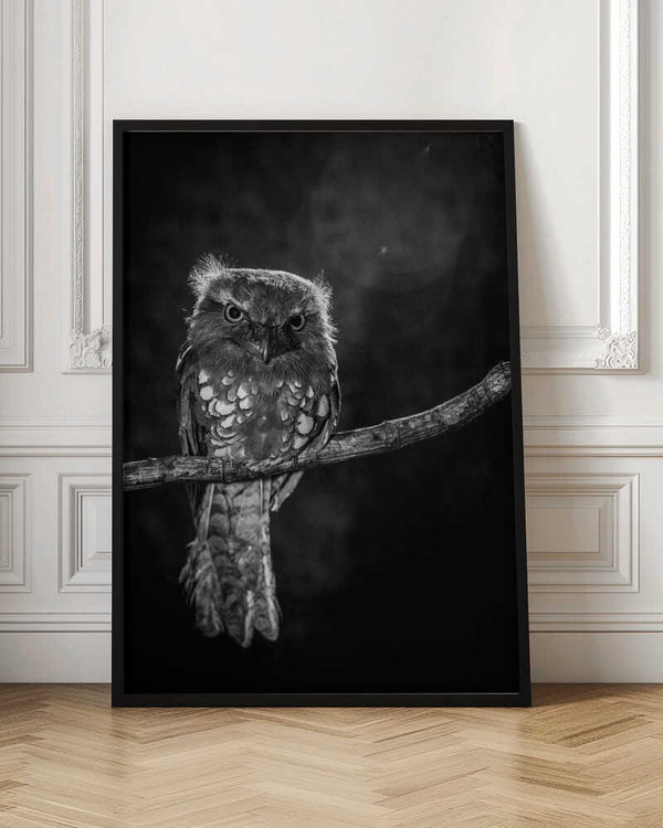 Tablou înramat „Alone in the night” de wilianto