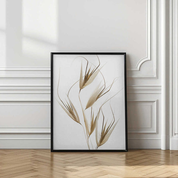 Tablou înramat „Delicacy of nature” de Thierry Lagandré (Transgressed Light)