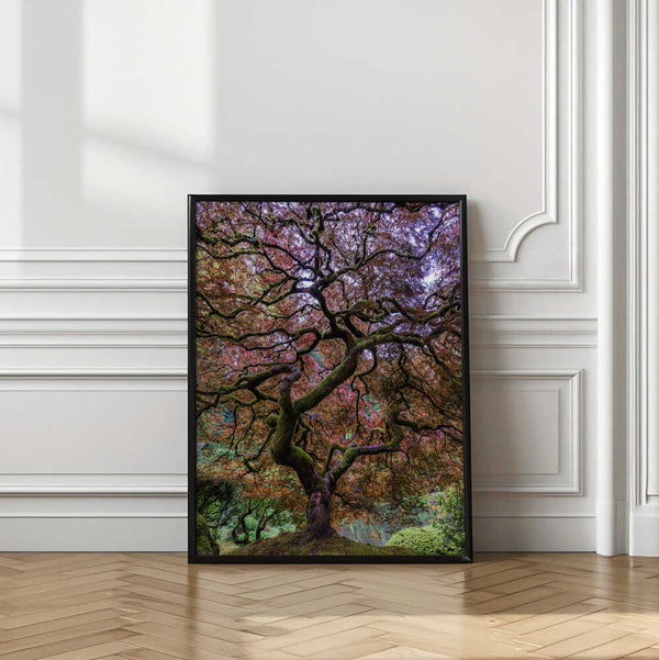 Tablou înramat „Japanese Maple Tree” de Mike Centioli