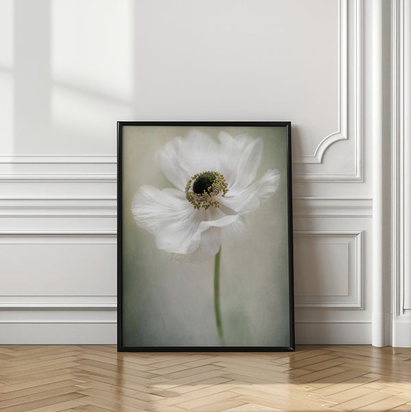 Tablou înramat „Single White” de Jacky Parker