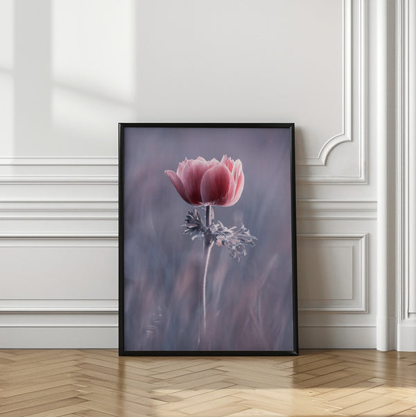 Tablou înramat „Pink ! So What ?” de Fabien BRAVIN