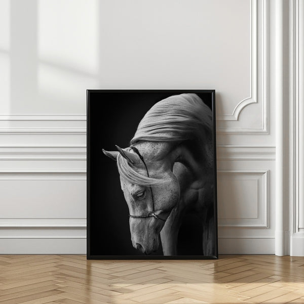 Tablou înramat „white stallion” de Ulrike Leinemann