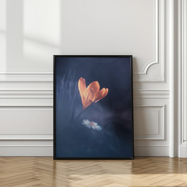 Tablou înramat „Upanishad” de Fabien BRAVIN