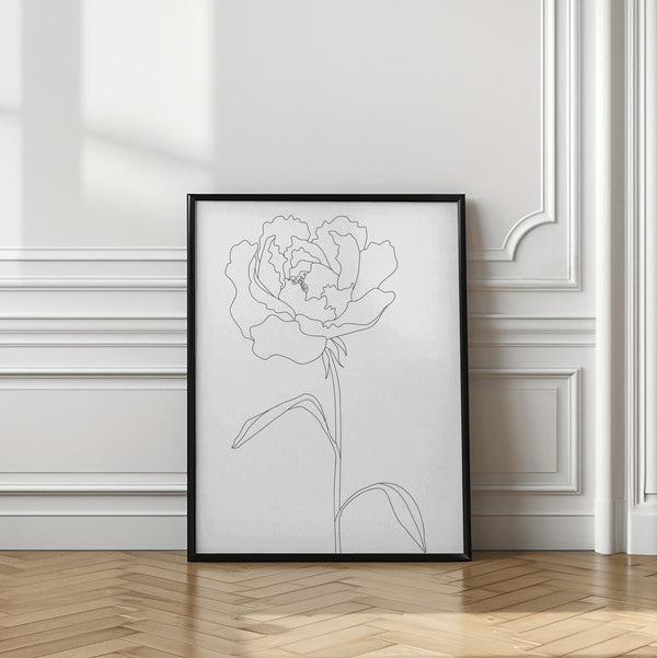 Tablou înramat „Peony Lines” de Pictufy Studio II