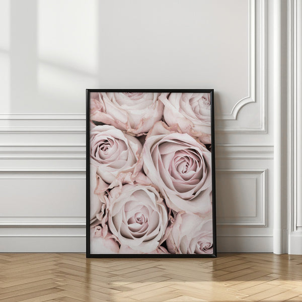 Tablou înramat „Pink Roses No 01” de Pictufy Studio III