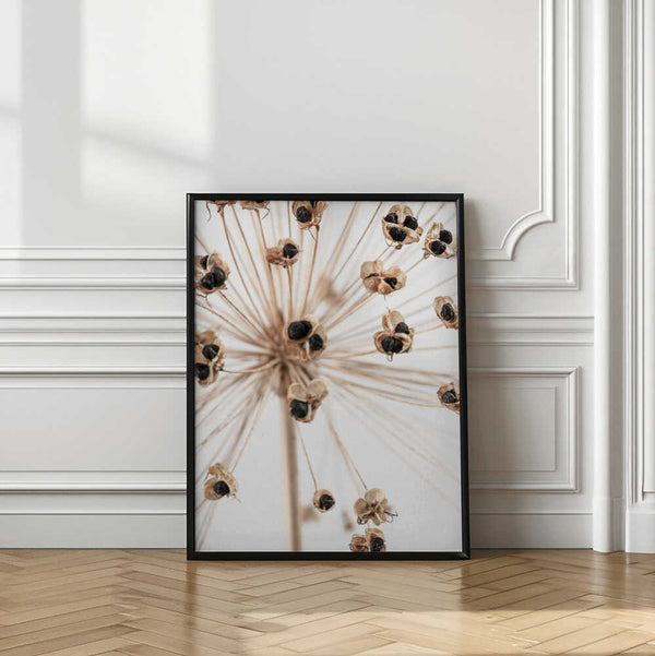 Tablou înramat „Dried_007” de Pictufy Studio III