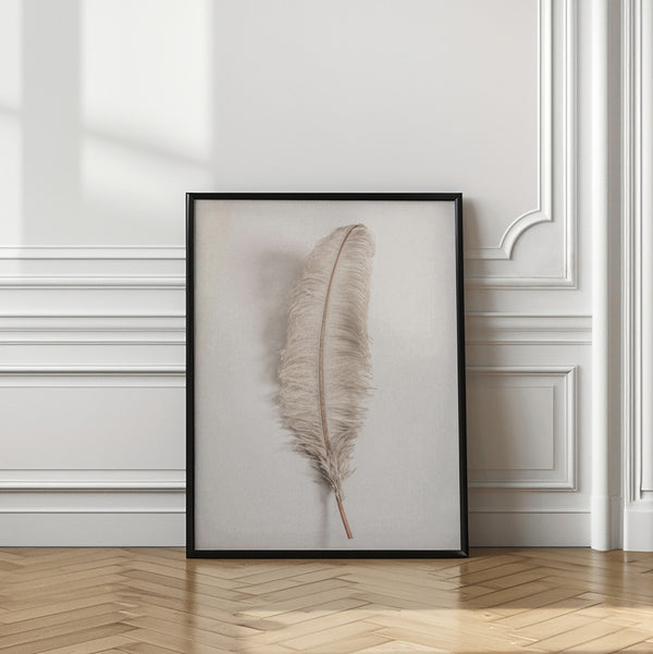 Tablou înramat „Feather_002” de Pictufy Studio III