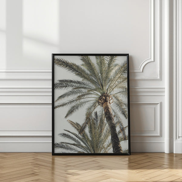 Tablou înramat „Palm_005” de Pictufy Studio III