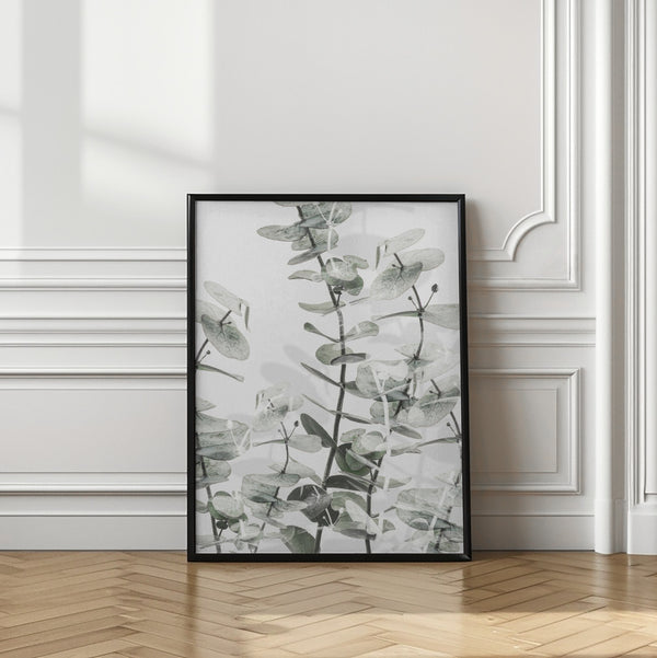 Tablou înramat „Eucalyptus_001” de Pictufy Studio III