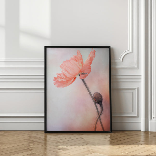 Tablou înramat „Tenderness” de Lenka