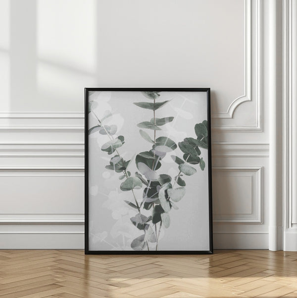 Tablou înramat „Eucalyptus_002” de Pictufy Studio III