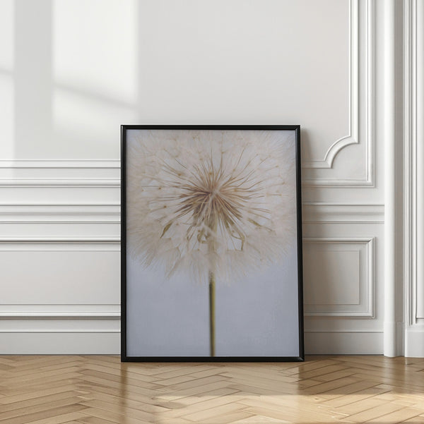 Tablou înramat „Delicate Dandelion” de uplusmestudio