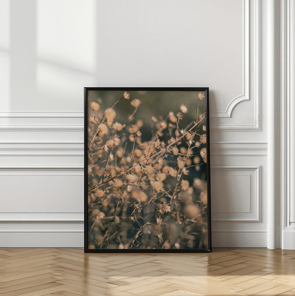 Tablou înramat „Beach flowers_003” de Pictufy Studio III