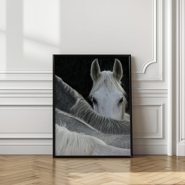 Tablou înramat „Look” de Milan Malovrh