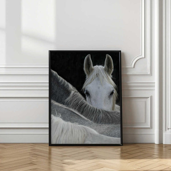 Tablou înramat „Look” de Milan Malovrh