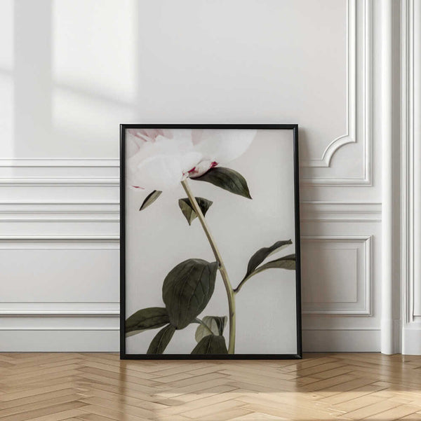 Tablou înramat „Peony 09” de Pictufy Studio III