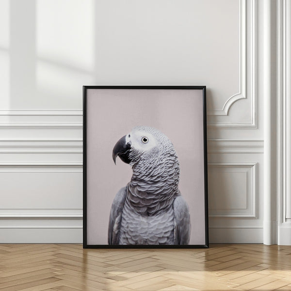 Tablou înramat „African Grey” de Kathrin Pienaar