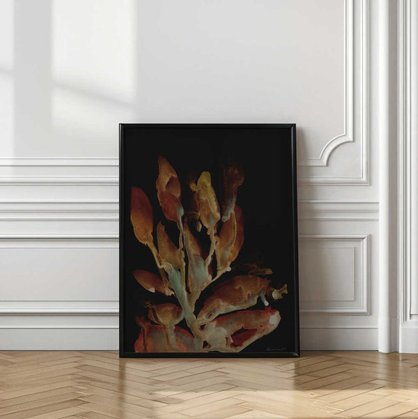 Tablou înramat „Night Plant” de Dan Hobday