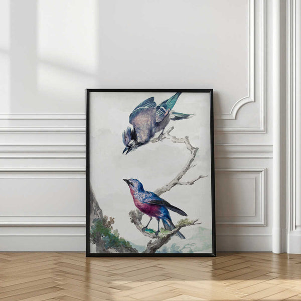 Tablou înramat „Two Birds a Blue Jay and a Purple Breasted Cotinga” de Aert Schouman