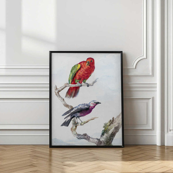 Tablou înramat „Two Birds, Including a Red Green Parrot” de Aert Schouman